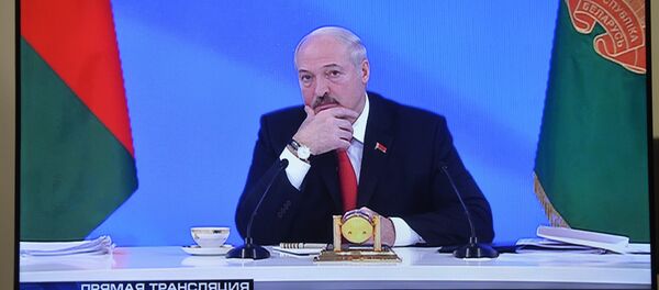 Большой разговор с президентом - Sputnik Беларусь