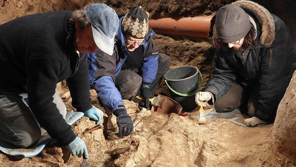 Археологи работают на горе Гедимина - Sputnik Беларусь