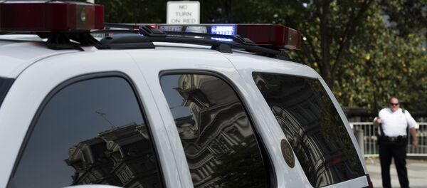 Полицейский автомобиль в США, архивное фото - Sputnik Беларусь