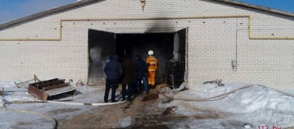 Пожар в птичнике агрокомбината Дзержинский - Sputnik Беларусь