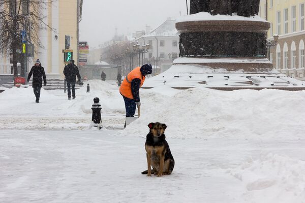 Коммунальщики расчищают центральные улицы города от снега Коммунальщики расчищают центральные улицы города от снега - Sputnik Беларусь