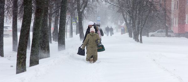 Снегопад в Бресте - Sputnik Беларусь
