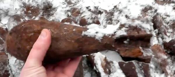 Мины, найденные в лесу - Sputnik Беларусь