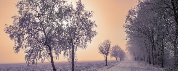 Морозный вечер - Sputnik Беларусь