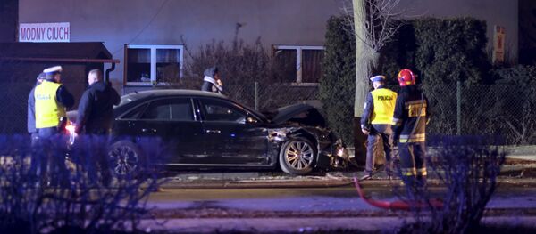 Audi премьера Польши Беаты Шидло врезалась в дерево - Sputnik Беларусь