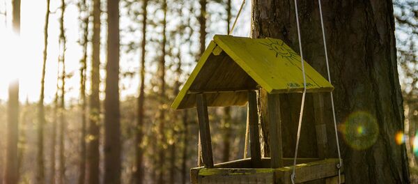 Кармушка для птушак - Sputnik Беларусь