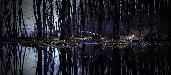 Водохранилище - Sputnik Беларусь