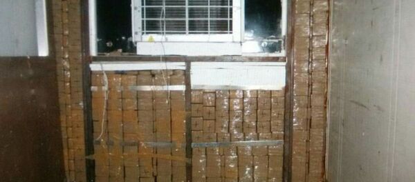 Обнаруженный гашиш Обнаруженный гашиш - Sputnik Беларусь