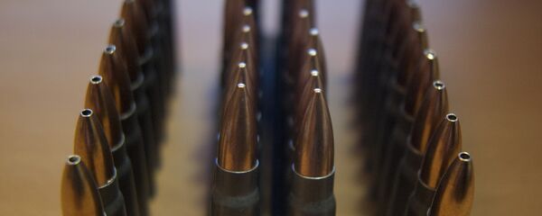 Патроны, архивное фото - Sputnik Беларусь