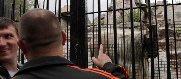 Посетители зоопарка, архивное фото Посетители зоопарка, архивное фото - Sputnik Беларусь