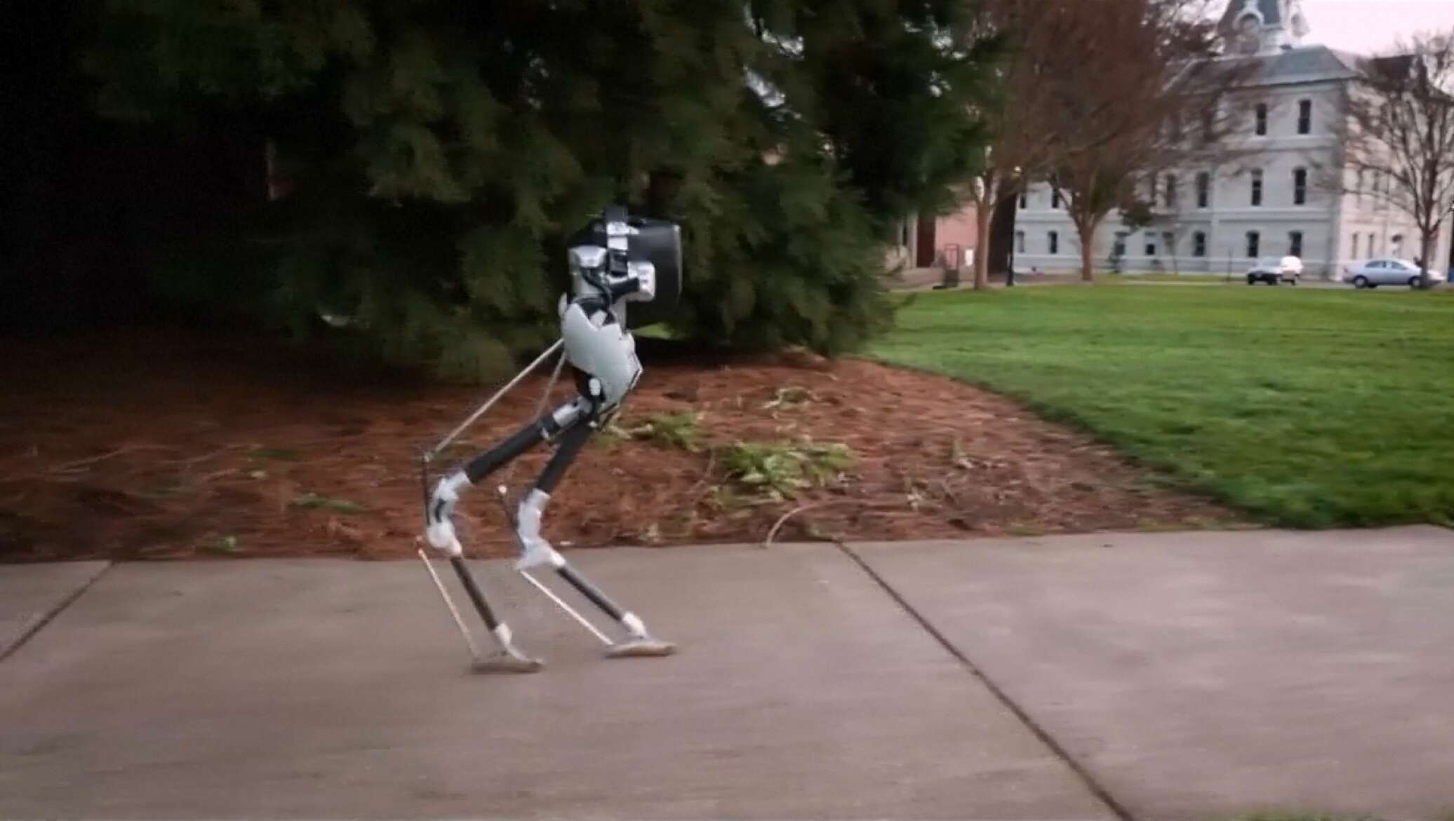 Самая главная задача при создании шагающих роботов. Шагающий робот Cassie. Двуногие роботы шагающие. Двуногий шагающий робот. Адаптивные роботы.