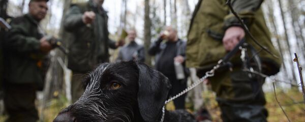 Многие из участников эксперимента увлекаются охотой - на это и рассчитывает доктор Многие из участников эксперимента увлекаются охотой - на это и рассчитывает доктор - Sputnik Беларусь