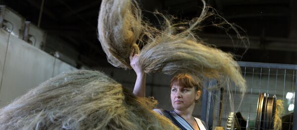 Производство льна, архивное фото - Sputnik Беларусь