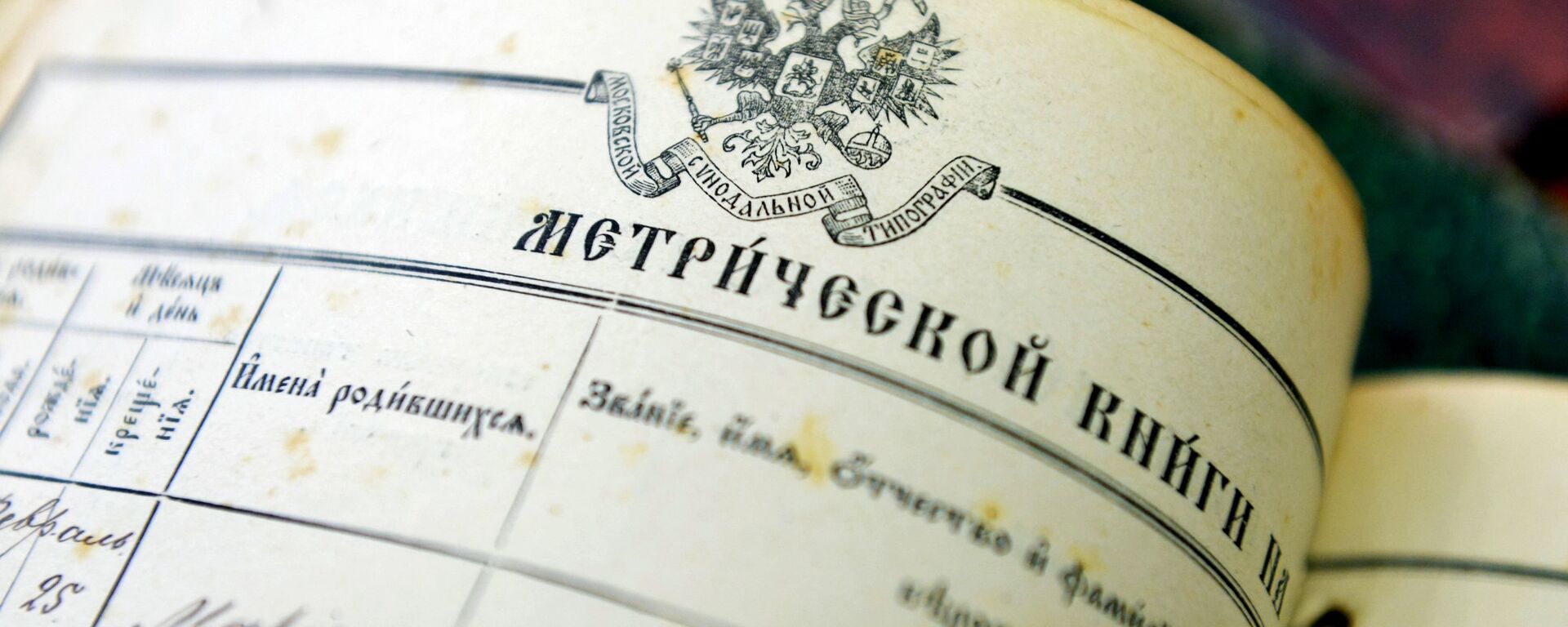 Документы Национального исторического архива Республики Беларусь - Sputnik Беларусь, 1920, 17.02.2017
