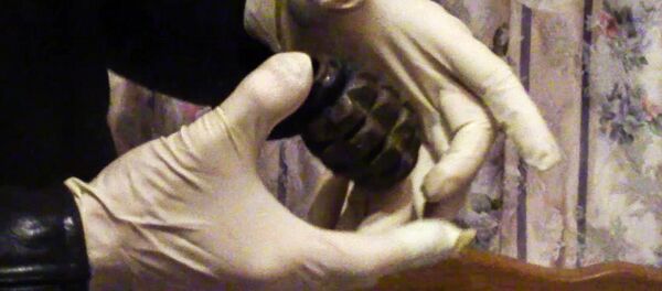 Граната Ф1, архивное фото - Sputnik Беларусь