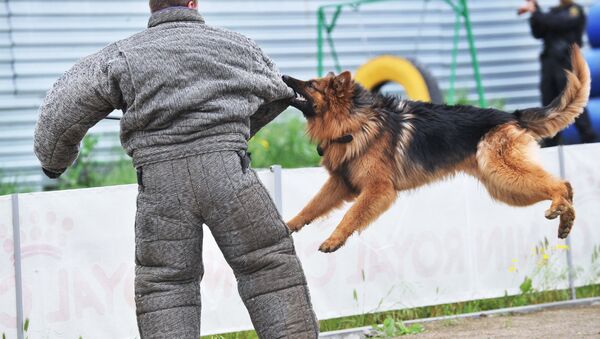 Кинолог тренирует собаку, архивное фото - Sputnik Беларусь