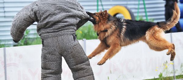 Чемпионат по служебному собаководству Чемпионат по служебному собаководству - Sputnik Беларусь