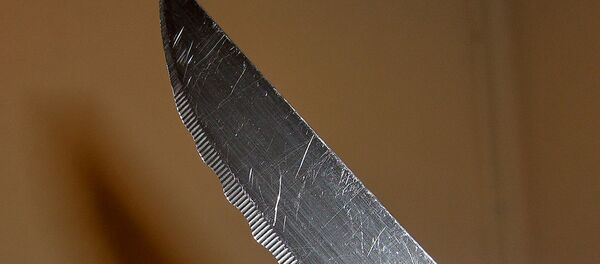 Лезвие ножа, архивное фото - Sputnik Беларусь