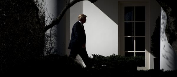 Президент США Дональд Трамп Президент США Дональд Трамп - Sputnik Беларусь
