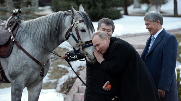 Президенту России Владимиру Путину президент Кыргызстана Алмазбек Атамбаев подарил коня серой масти - Sputnik Беларусь