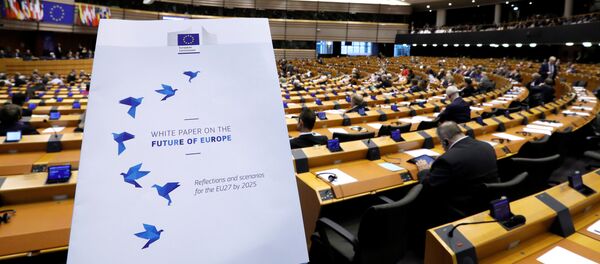 В Европарламенте презентовали Белую книгу развития Европы В Европарламенте презентовали Белую книгу развития Европы - Sputnik Беларусь