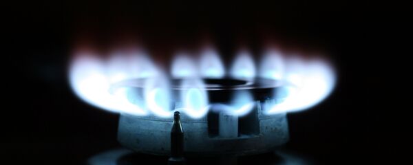 Конфорка газовой плиты - Sputnik Беларусь