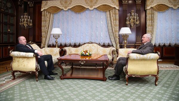 Визит президента Грузии Георгия Маргвелашвили в Республику Беларусь - Sputnik Беларусь