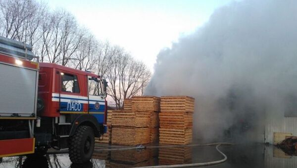 Ликвидация пожара на складе в Бресте - Sputnik Беларусь