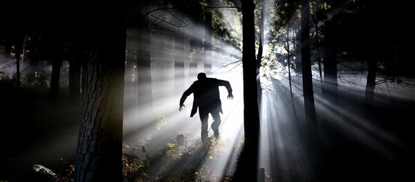 Здымкі жахаўкі Здымкі жахаўкі - Sputnik Беларусь