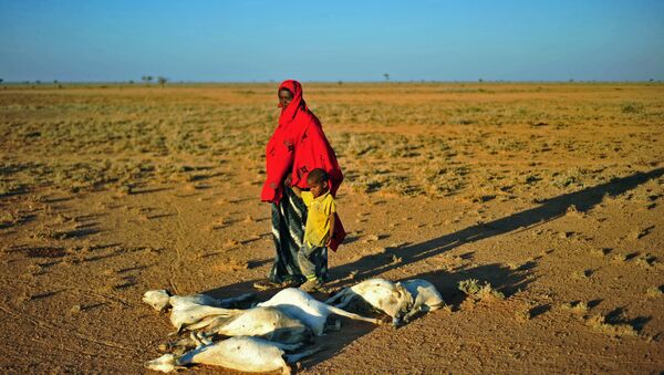 Женщина с ребенком в пустыне в Сомали возле коз, умерших от засухи - Sputnik Беларусь
