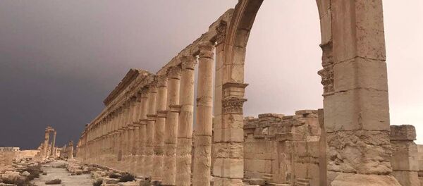 Пальмира при поддержке ВКС РФ была взята войсками Сирийской Арабской Республики - Sputnik Беларусь