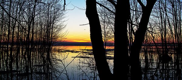 Весенний паводок, архивное фото Весенний паводок, архивное фото - Sputnik Беларусь