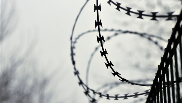 Забор из колючей проволоки, архивное фото - Sputnik Беларусь