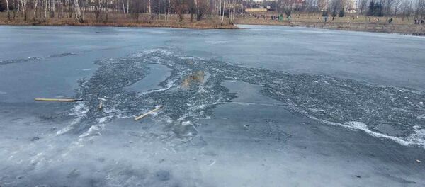 Берег Слепянской водной системы - Sputnik Беларусь