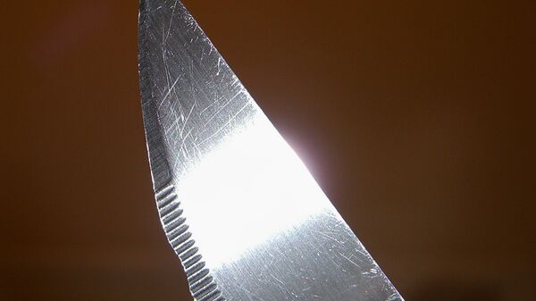 Нож - Sputnik Беларусь