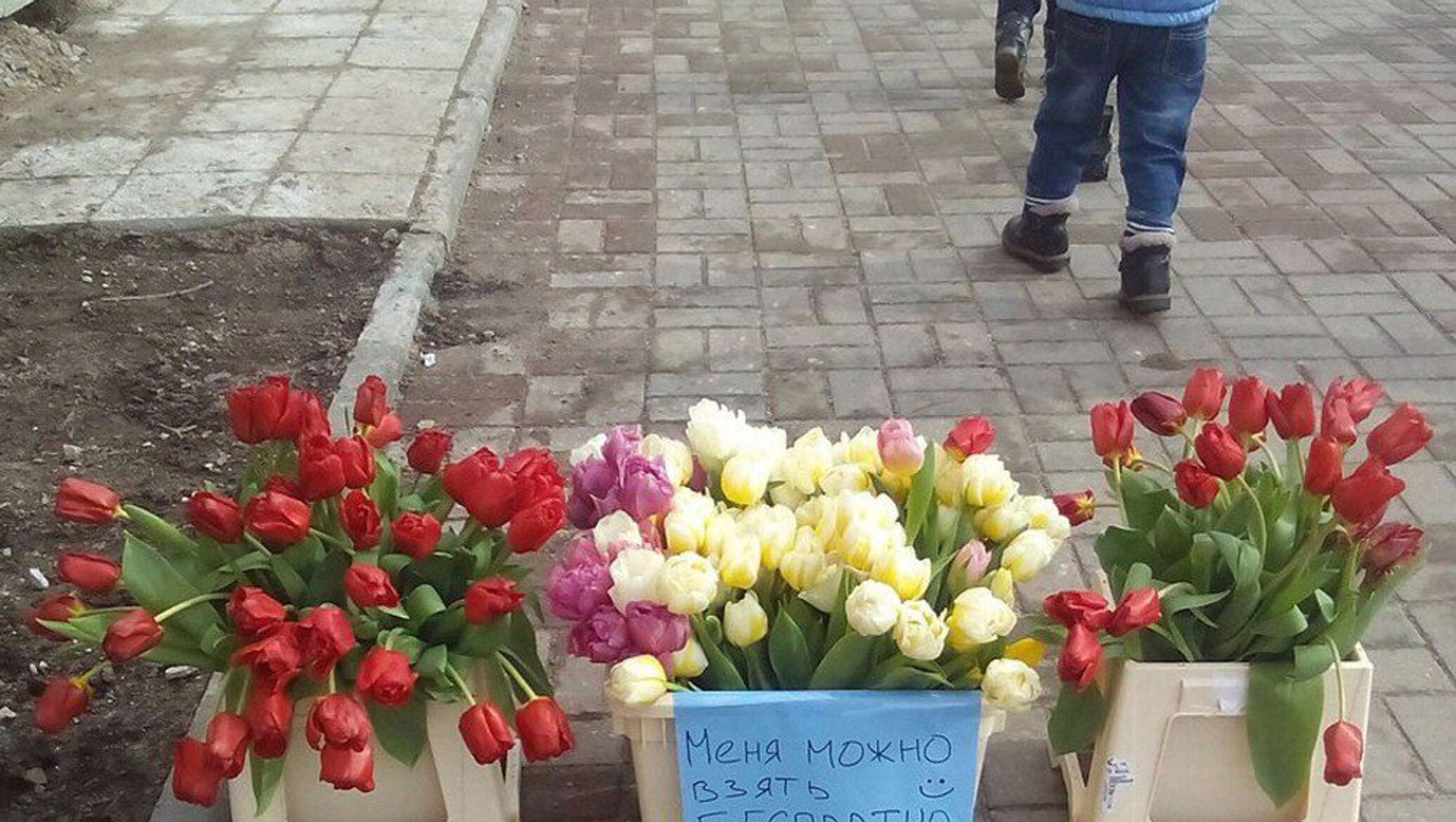 Сколько зарабатывают на тюльпанах. Продажа тюльпанов. Уличная торговля тюльпанами.