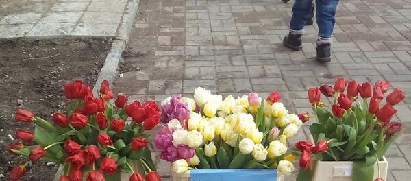Бесплатные цветы в Витебске - Sputnik Беларусь