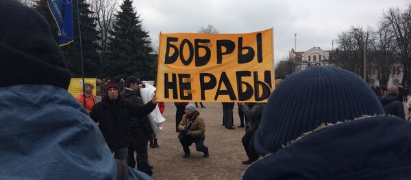 Акция протеста в Бобруйске - Sputnik Беларусь