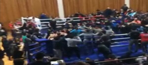 Массовая драка после боя чемпионата по ММА - Sputnik Беларусь