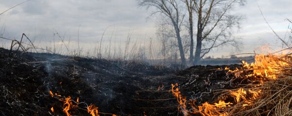 Горение сухой травы, архивное фото - Sputnik Беларусь