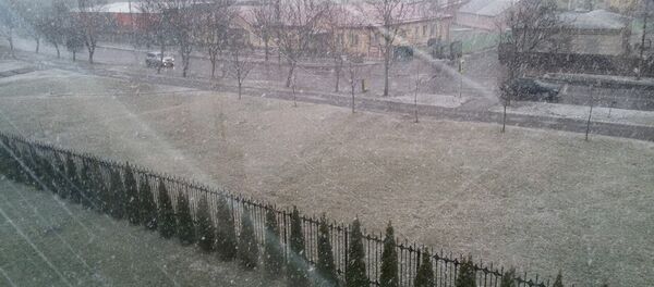 Снег в марте в Пинске Снег в марте в Пинске - Sputnik Беларусь