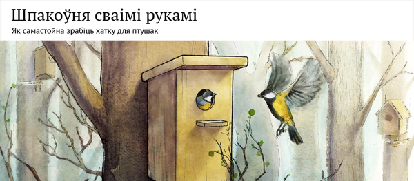 Інфаграфіка Sputnik: Шпакоўня сваімі рукамі - Sputnik Беларусь
