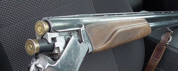 Охотничье ружье, архивное фото - Sputnik Беларусь