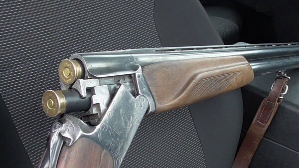 Охотничье ружье, архивное фото - Sputnik Беларусь