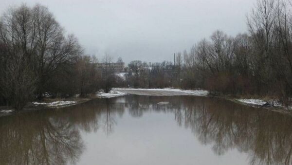 Паводковые воды от Припяти подтопили дорогу в Петриковском районе - Sputnik Беларусь