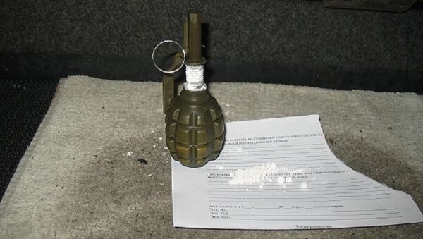 Муляж гранаты с порошком, обнаруженный в автобусе в ПП Брест - Sputnik Беларусь
