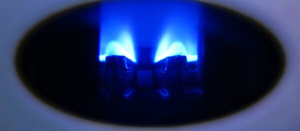 Горелка газовой колонки Горелка газовой колонки - Sputnik Беларусь