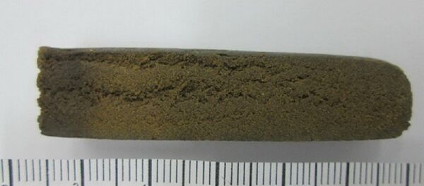 Изъятый у уроженца Орши гашиш - Sputnik Беларусь