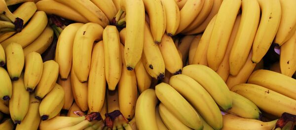 Связки с бананами, архивное фото - Sputnik Беларусь