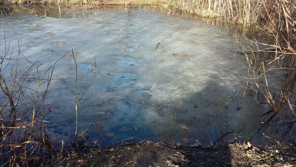 Озеро, на котором провалился под лед ребенок - Sputnik Беларусь